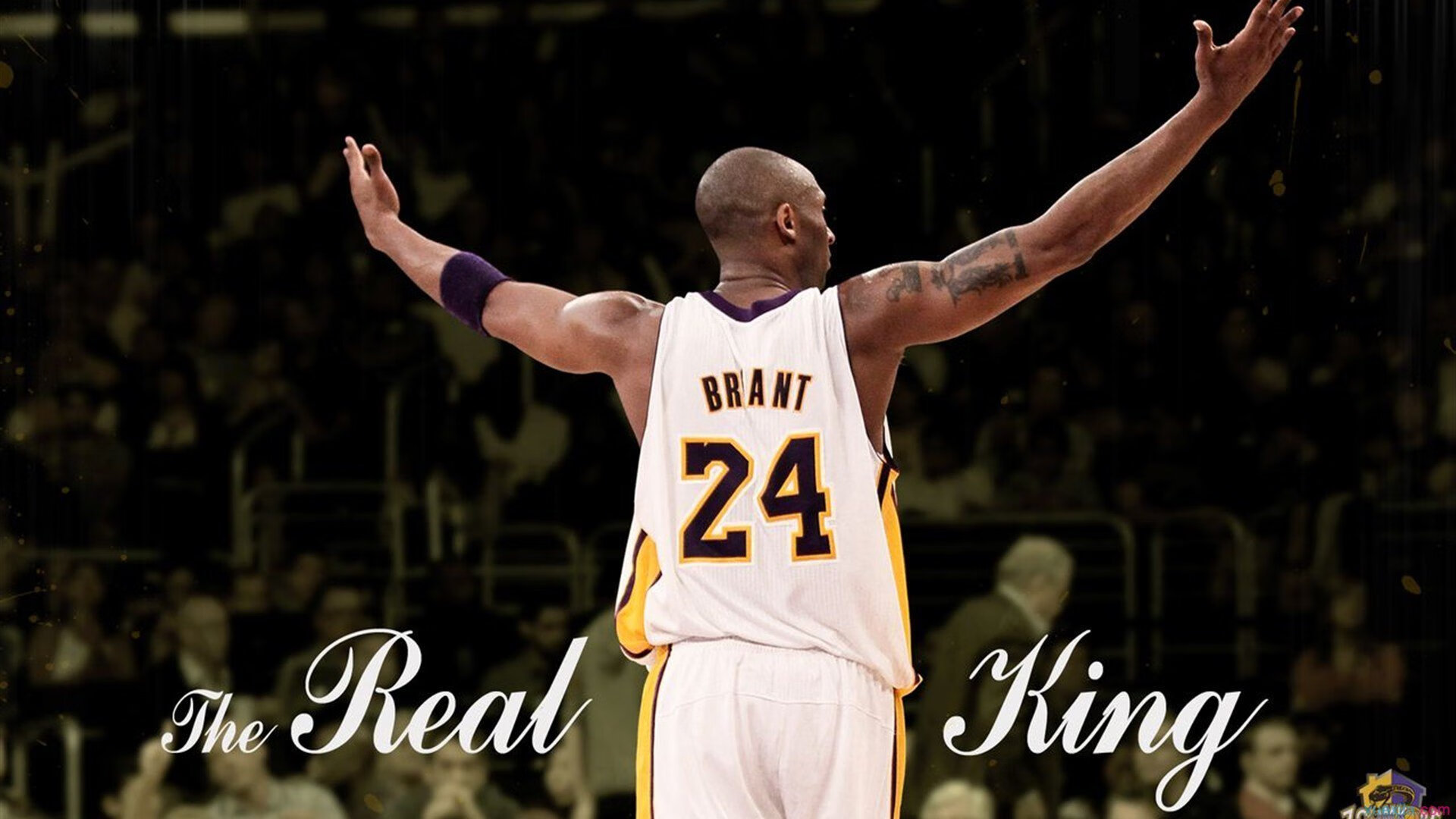 公牛队逐步崭露头角，迎接未来，公牛队是啥